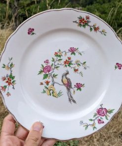 6 Assiettes oiseau de paradis
