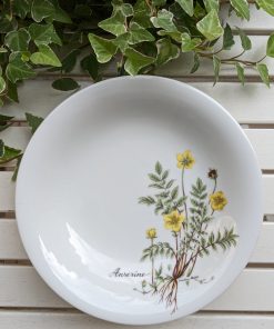 Assiette creuse potentilles