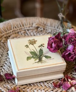 Boite Coucou vintage