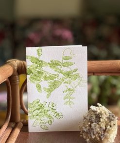 Carte double Vesce 2