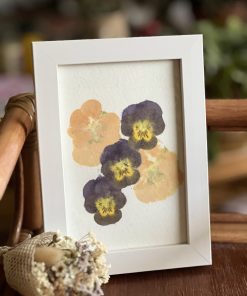 Carte Pensées et Primevères