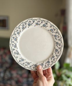 Assiette à dessert en terre de fer Sarreguemines