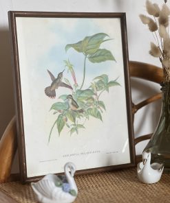 Cadre vintage Colibris