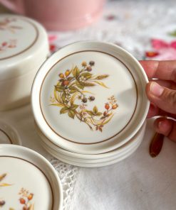 Coffret de 6 sous-verres Harvest