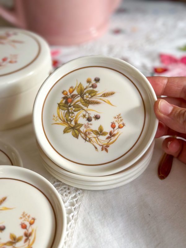 Coffret de 6 sous-verres Harvest